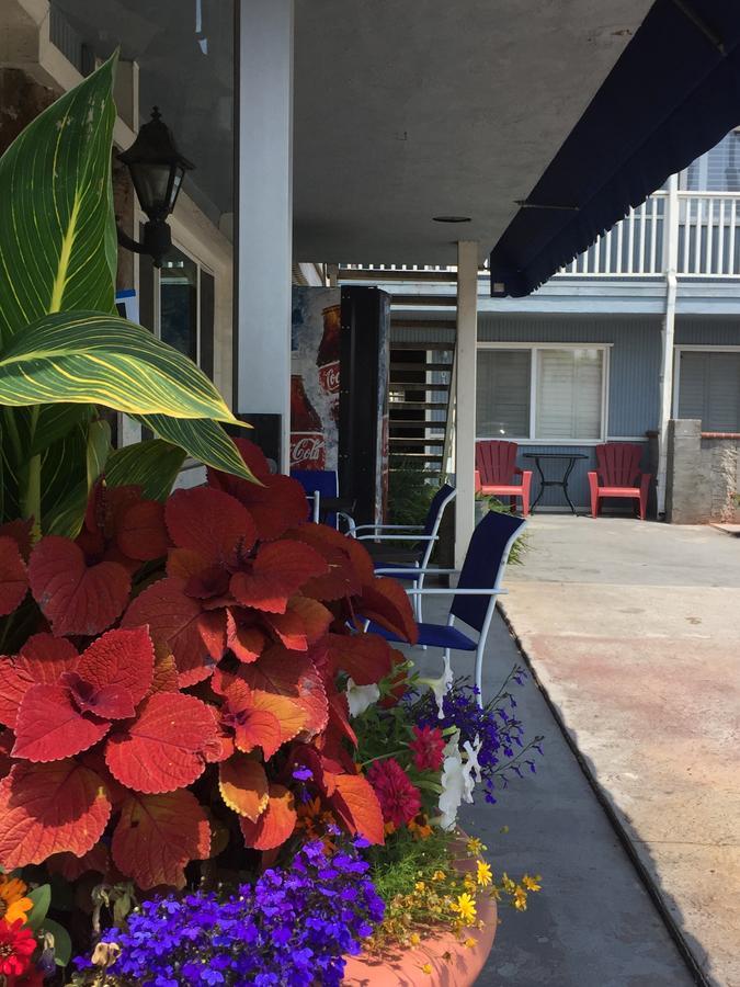 The Shores Inn Ventura Exterior foto